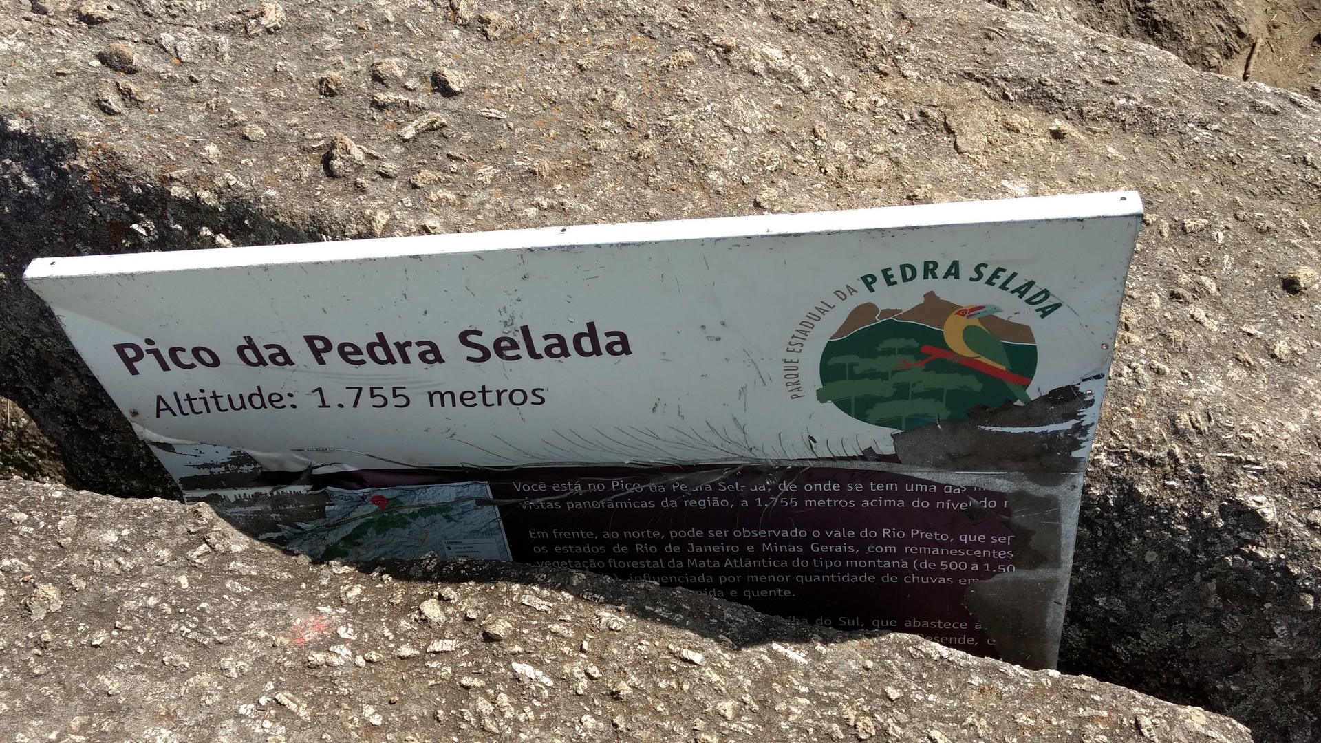 Pedra Selada Florestal